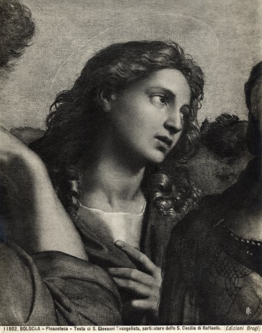 Brogi — Bologna - Pinacoteca - Testa di S. Giovanni Evangelista, particolare della S. Cecilia di Raffaello. — particolare